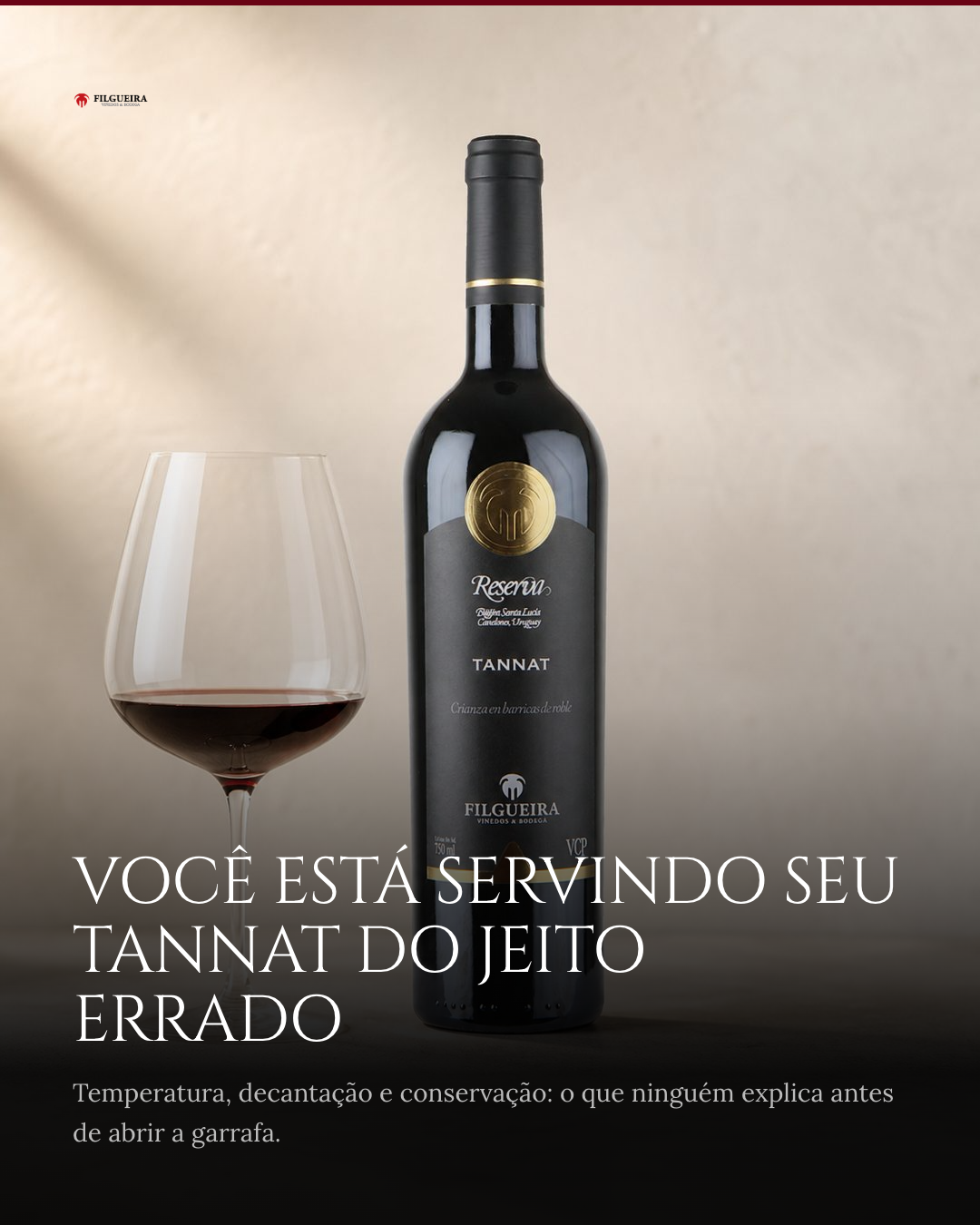 Como servir e guardar um Tannat premium