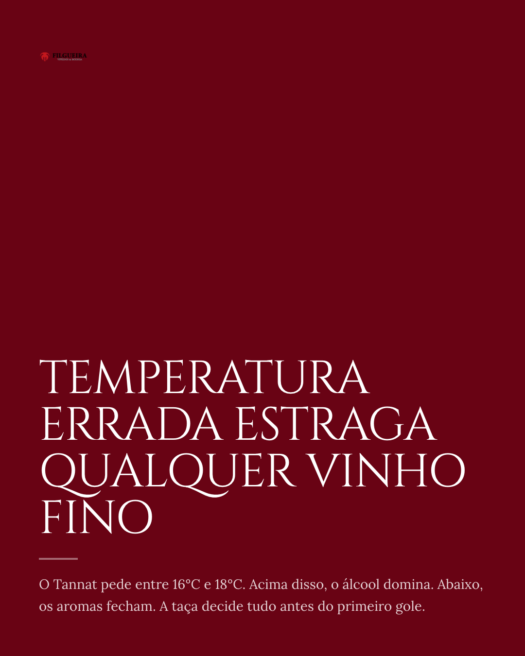 Slide 2 — Como servir e guardar um Tannat premium