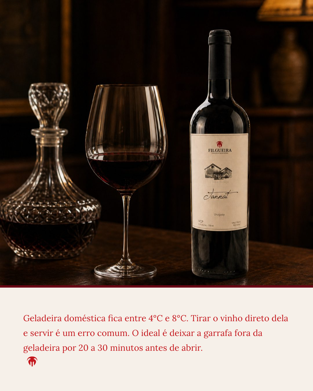 Slide 3 — Como servir e guardar um Tannat premium