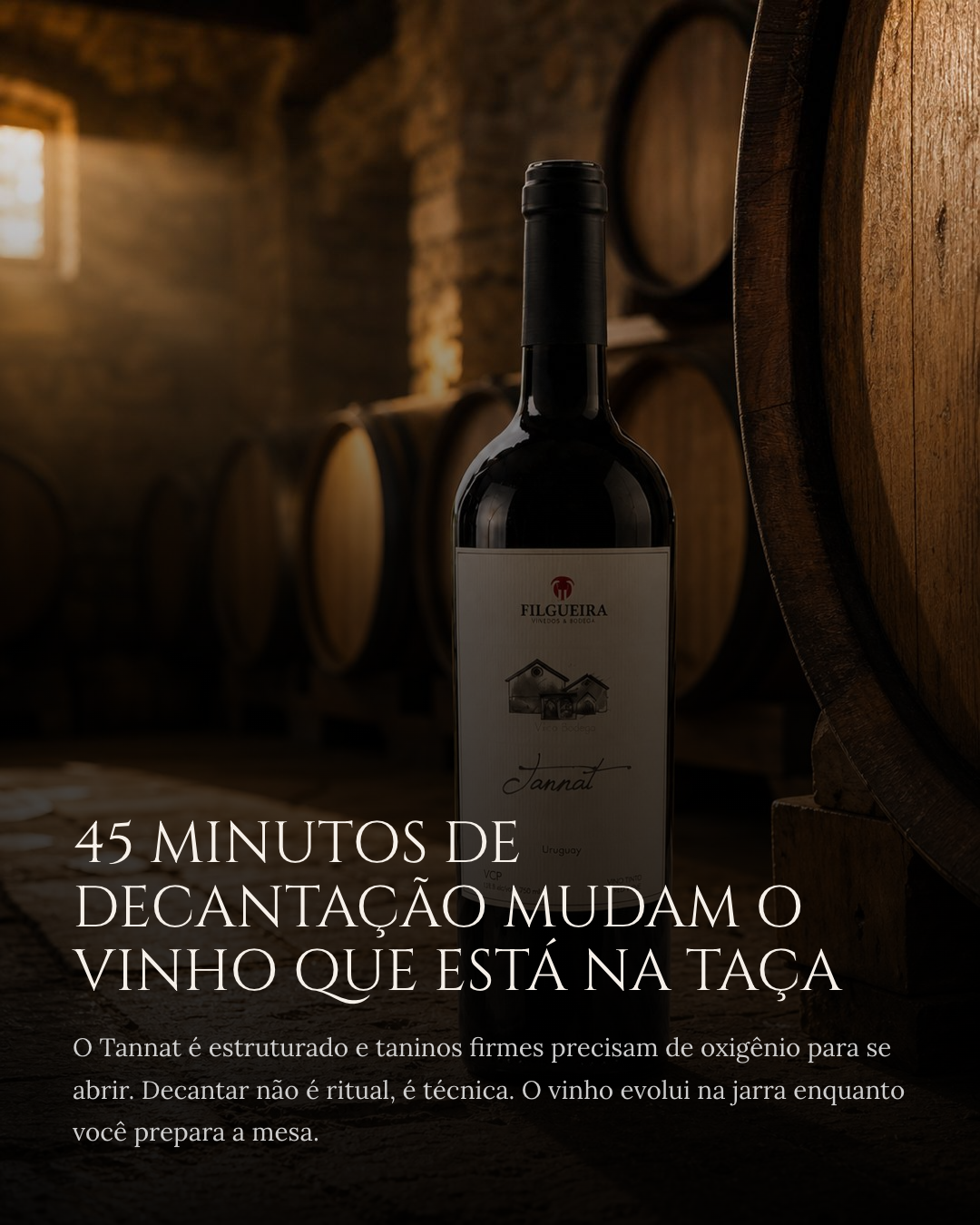 Slide 5 — Como servir e guardar um Tannat premium
