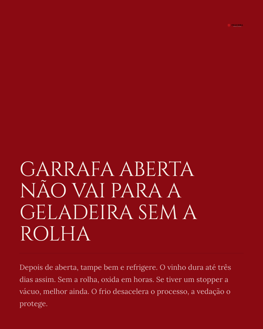 Slide 6 — Como servir e guardar um Tannat premium