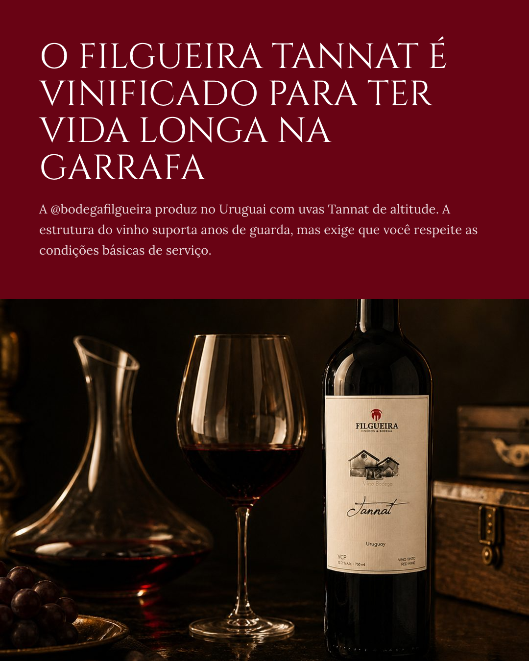 Slide 7 — Como servir e guardar um Tannat premium