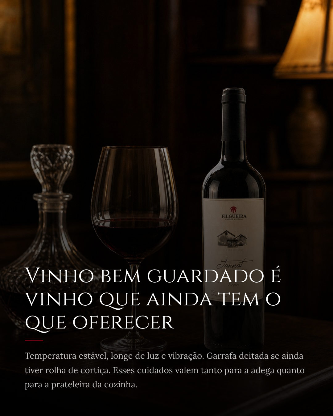 Slide 8 — Como servir e guardar um Tannat premium