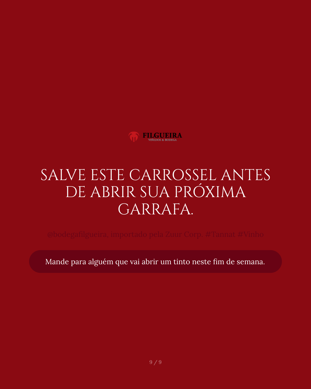 Slide 9 — Como servir e guardar um Tannat premium